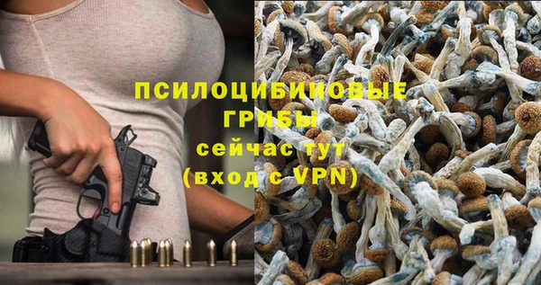 винт Абаза