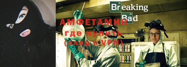 шишки Абинск
