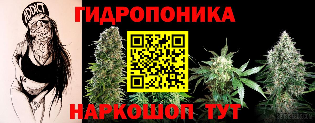 Смоленск  МАРИХУАНА планчик  МАРИХУАНА сатива  Шишки марихуана планчик  Вход с VPN 